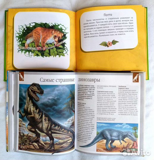 Энциклопедия для детей