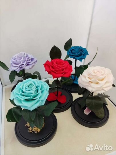 Роза в колбе опт и розница