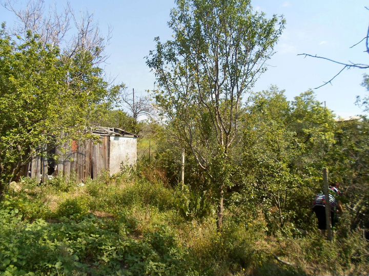 Дом 32 м² на участке 6 сот.