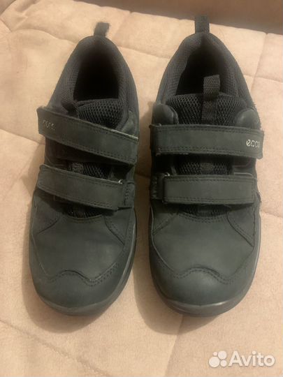 Кроссовки ecco biom 36
