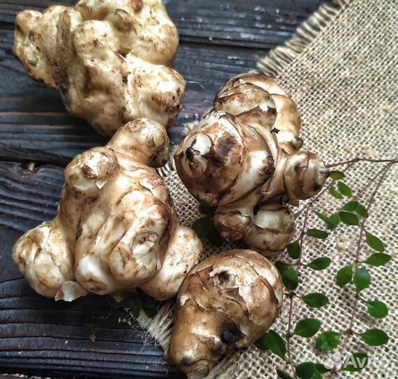 Топинамбур клубни свежие