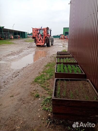 Ботвоудалитель Agricola TSN PAVIA, 2014
