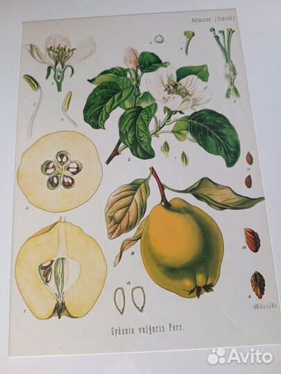 Плакаты постеры