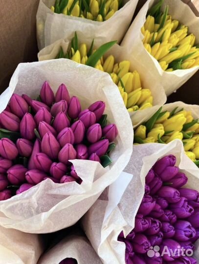 Тюльпаны к 8 марта