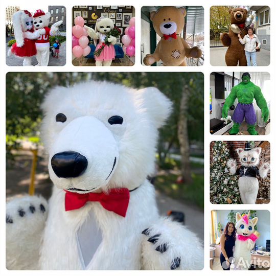 Белый мишка/Халк/Единорог/Зайка/Кот/Йорк