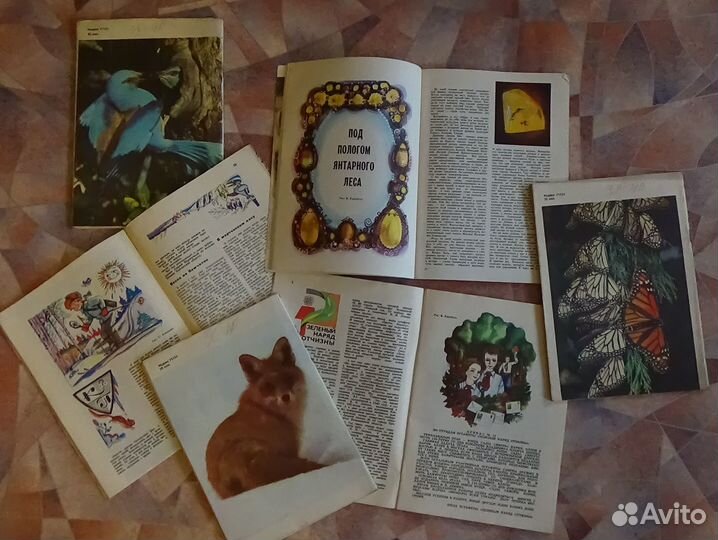 Журнал Юный Натуралист СССР
