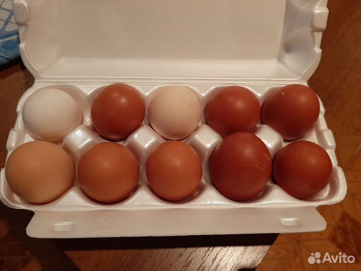 Домашние куриные яйца