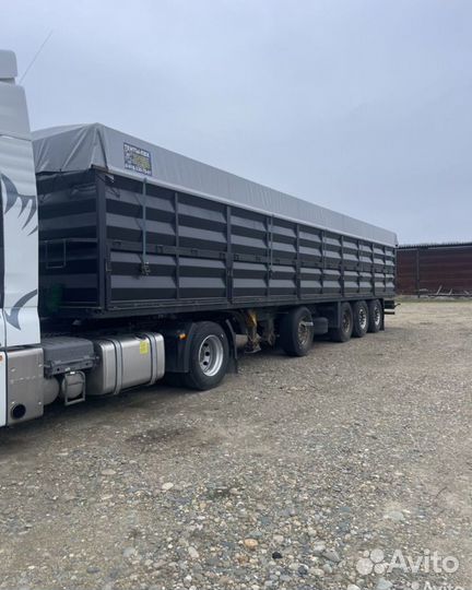 Полуприцеп зерновоз Schmitz Cargobull S01, 2006