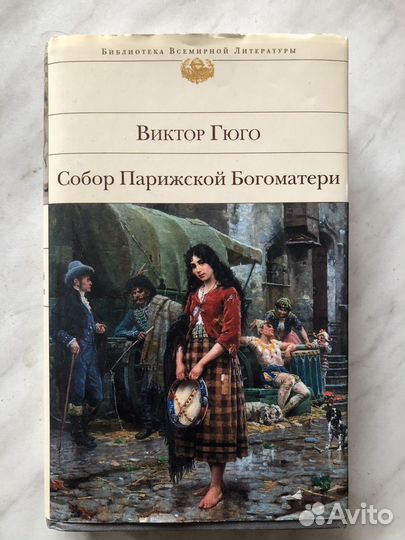 Книга собор парижской богоматери