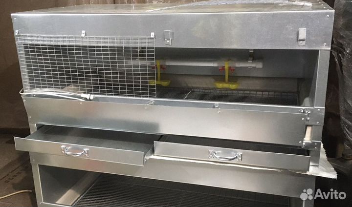 Брудер для цыплят, перепелят, индюшат