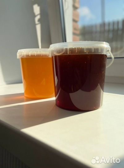 Мед Алтайское разнотравье оптом 2023