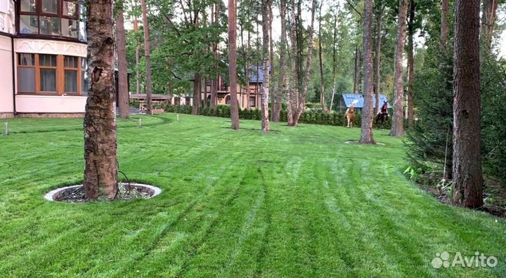 Рулонный газон