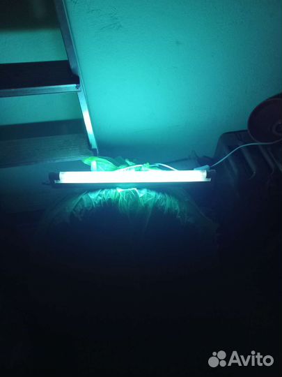 Бактерецидная лампа