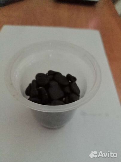 Бобы чёрные