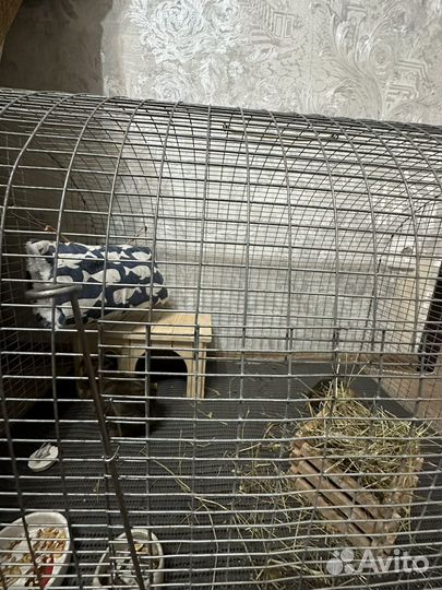 Клетка для птиц, крупных и мелких грызунов