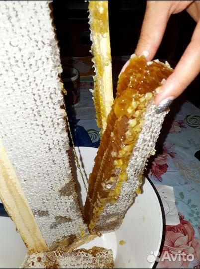 Мед 2023г разнотравье дягилевый соты подмор пыльца