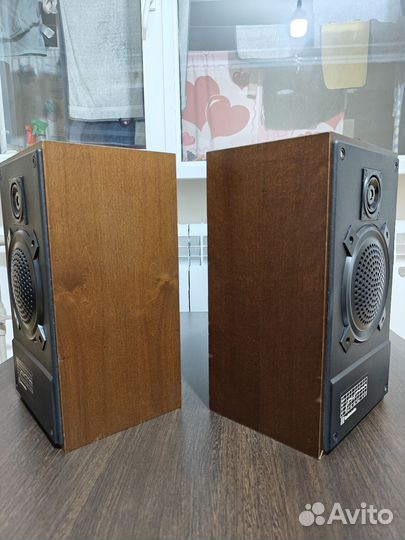 Новые колонки Радиотехника S-30A