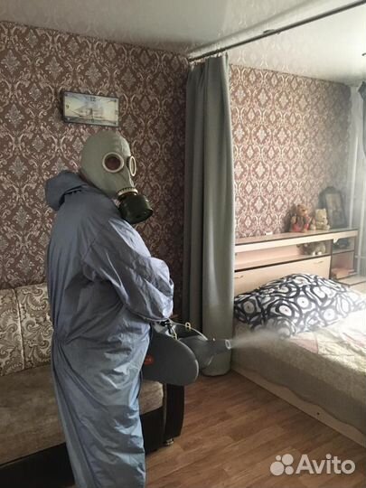 Уничтожение тараканов, клопов, блох, грибка