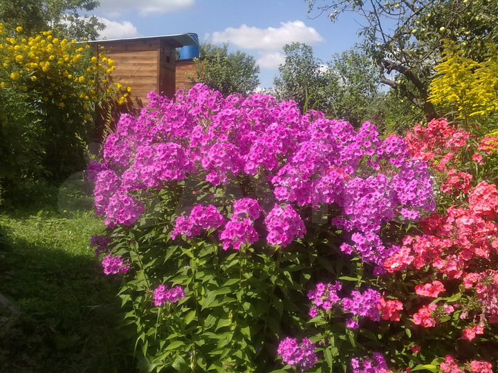 Дача 60 м² на участке 15 сот.