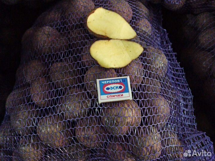 Продам картофель с бесплатной доставкой