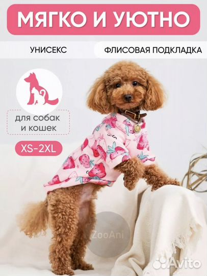 Свитер для маленькой собачки xs