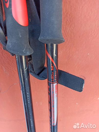 Горные лыжи