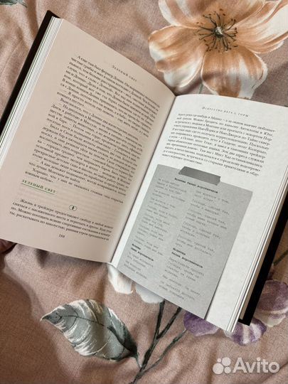 Зеленый свет мэттью макконахи