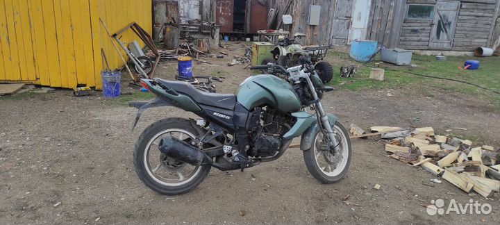 Рейсер нитро 250