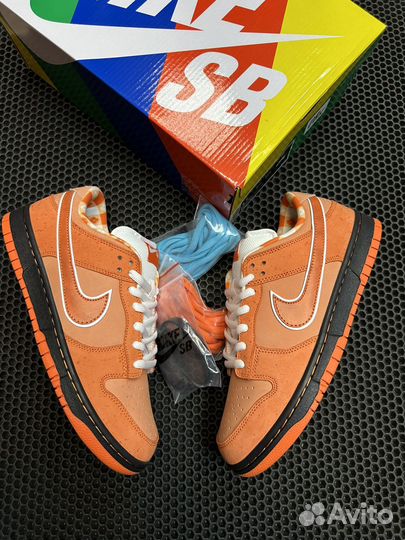 Nike SB Dunk Low Concepts Orange Lobster