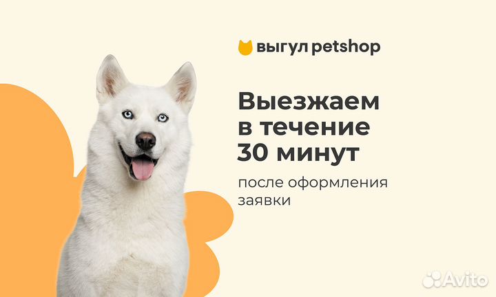 Выгул животных Petshop в Москве