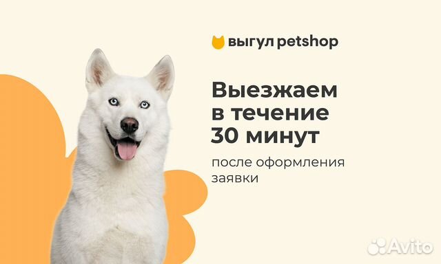Выгул животных Petshop в Москве