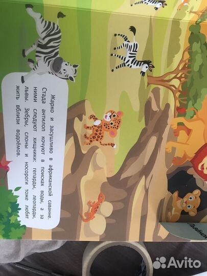 Животный мир