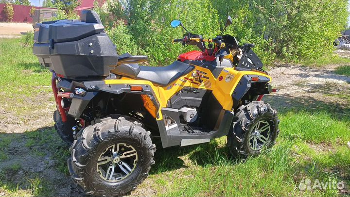 Стелс гепард 650