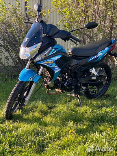 Storm Indigo 125 (49.9)