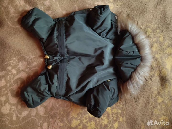 Одежда для маленьких собак бу