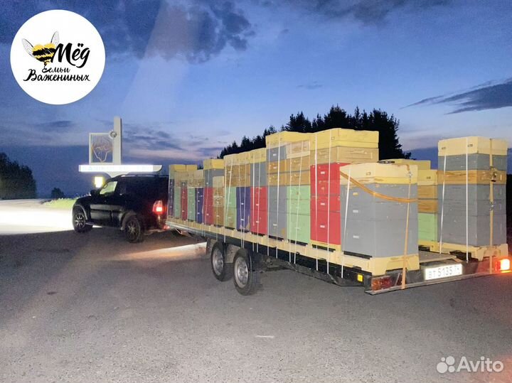 Мед липовый, гречишный, акациевый