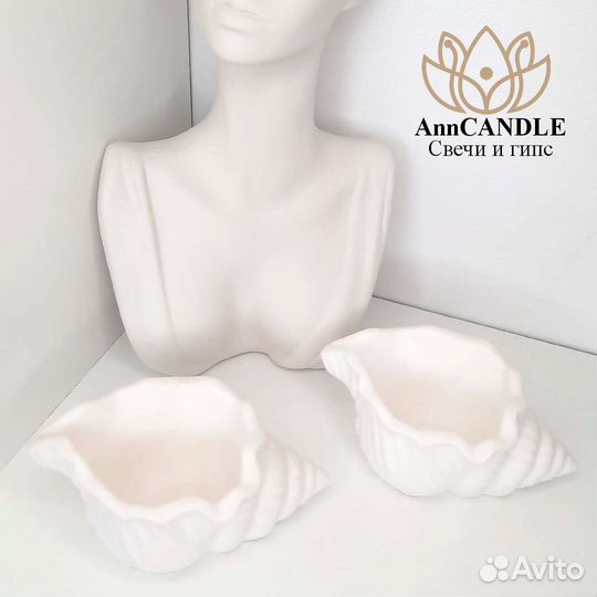 Ракушка из гипса