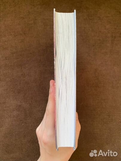 Книга Л. Дж. Шэн 