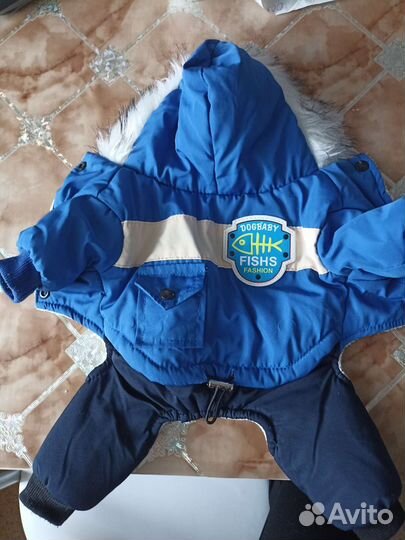 Одежда для маленьких собак бу