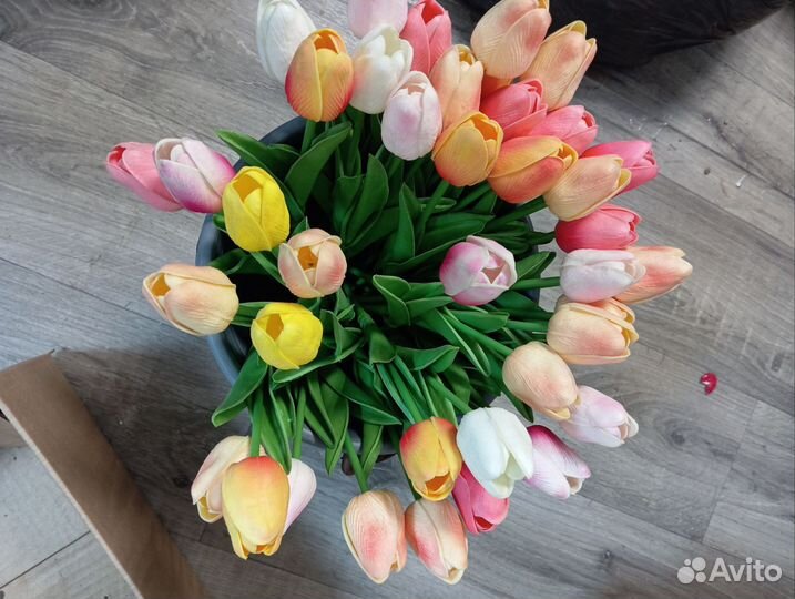 Тюльпаны латоксные