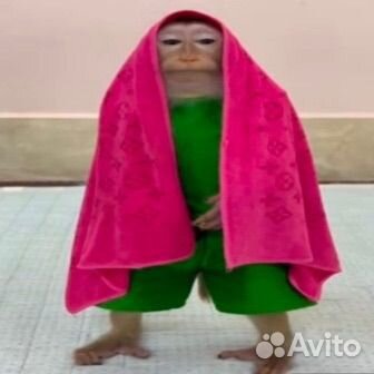 Тренер по фортнайту (только PS)