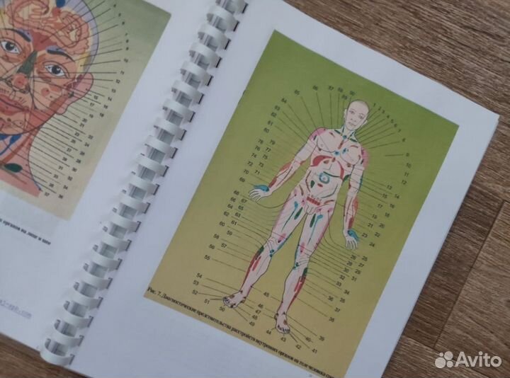 Методы диагностики в висцеральной хиропрактике