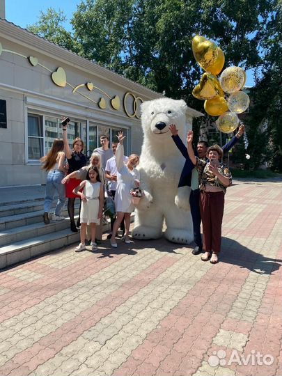 Белый мишка поздравление