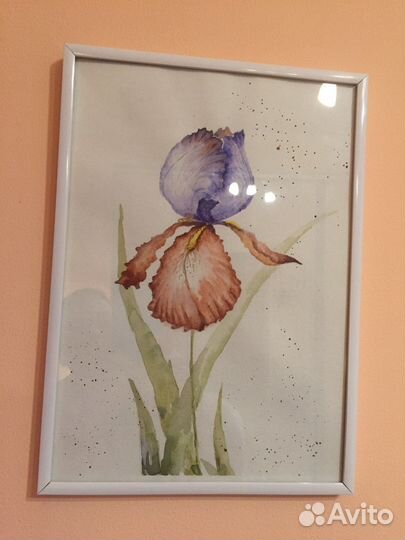 Акварельные картины Ирисы