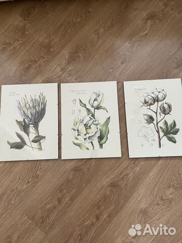 Картины и постеры