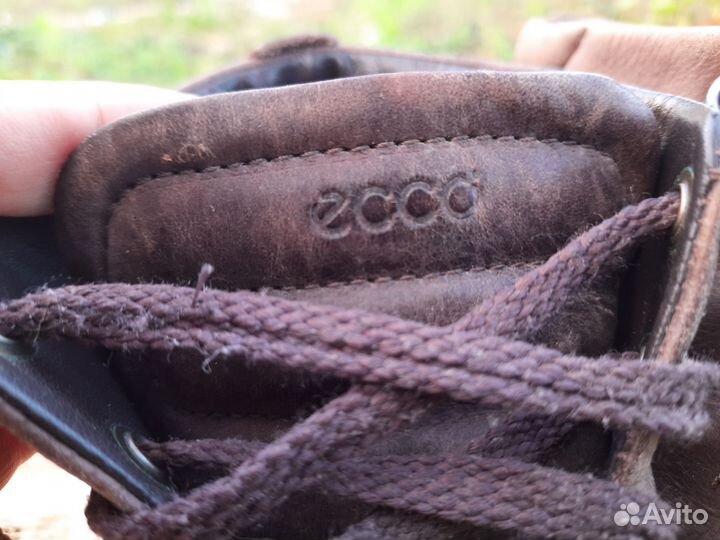 Ботинки женские ecco 37 размер
