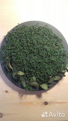 Картина (панно) из стабилизированного мха