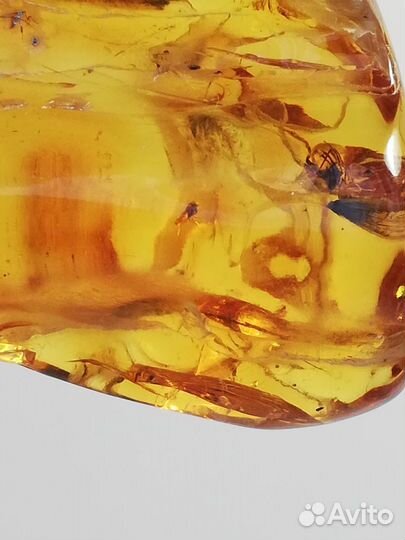 Коллекционный Янтарь с инклюзами Вес 15,8 гр