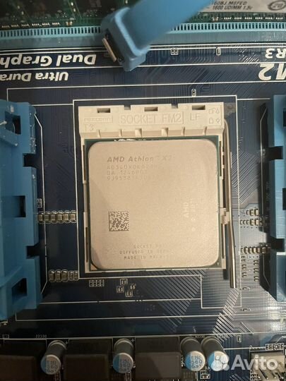 Материнская плата fm2 + amd athlon x2+ gt 630