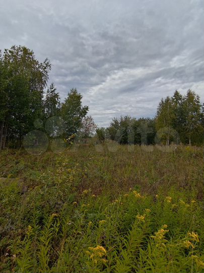 Участок 15 сот. (СНТ, ДНП)